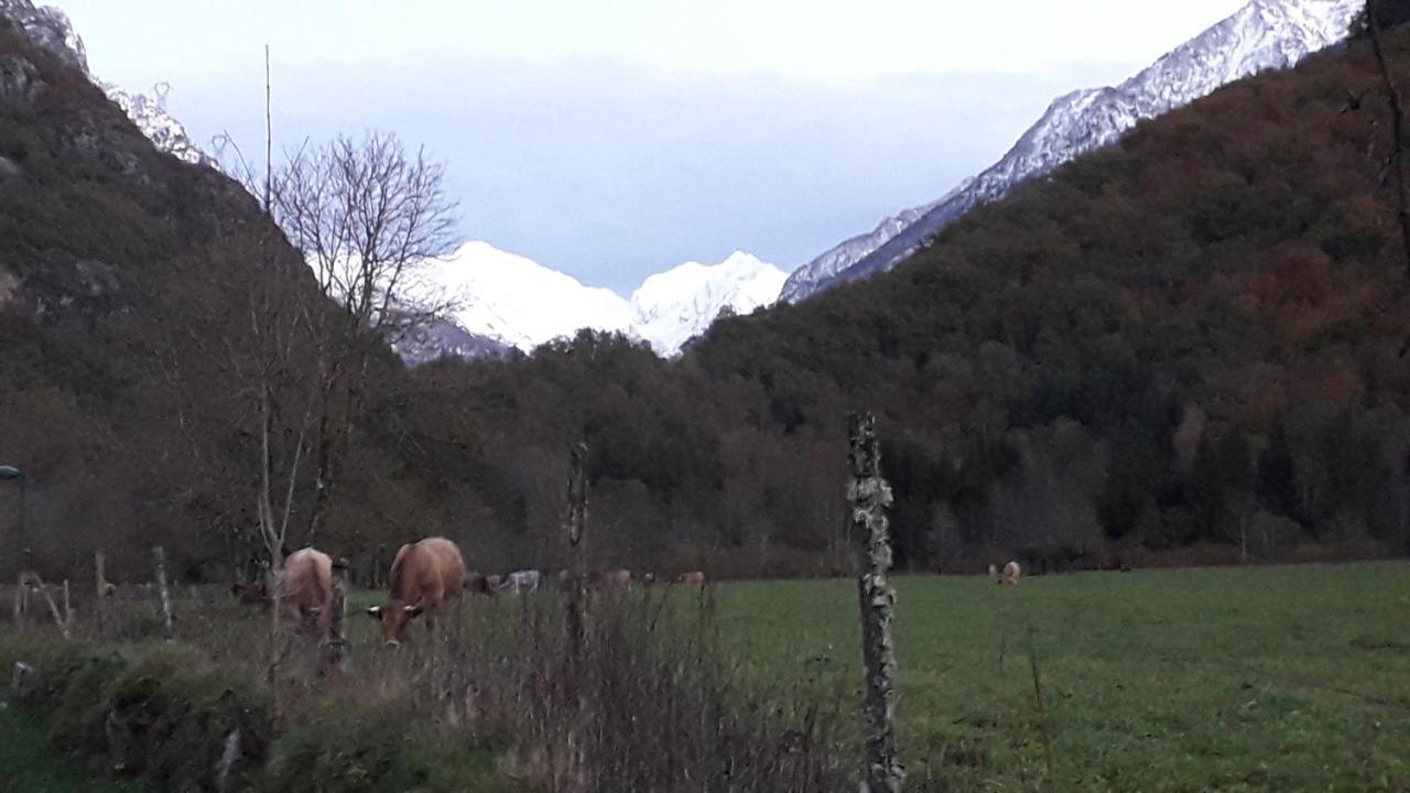 L'Or De Fabiol Villa Orlu Buitenkant foto